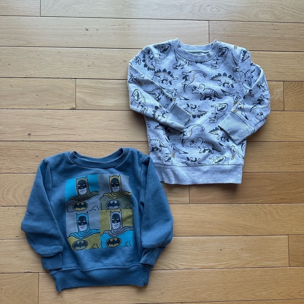 Kids' Gray Dinosaur & Blue Superhero Sweatshirts size 2T